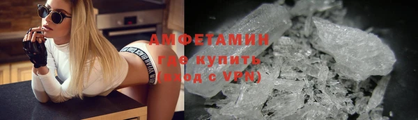 прущие грибы Абинск