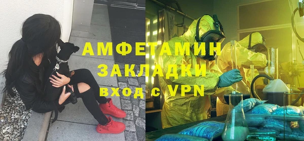 прущие грибы Абинск