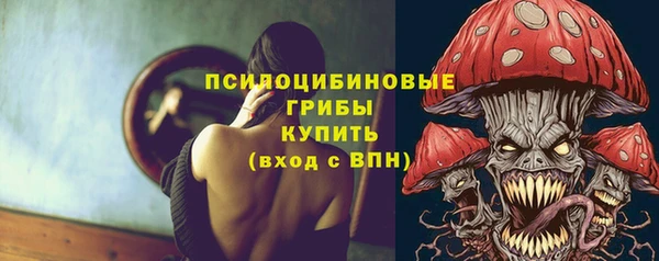 прущие грибы Абинск