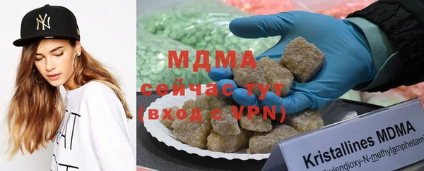 прущие грибы Абинск