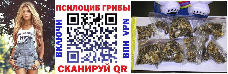 Галлюциногенные грибы GOLDEN TEACHER  Спас-Клепики 